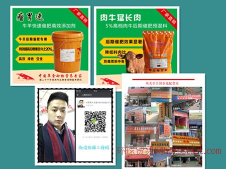 4、 Anglo-Meier 肉牛專(zhuān)用預(yù)混料:什么飼料對(duì)牛有益
