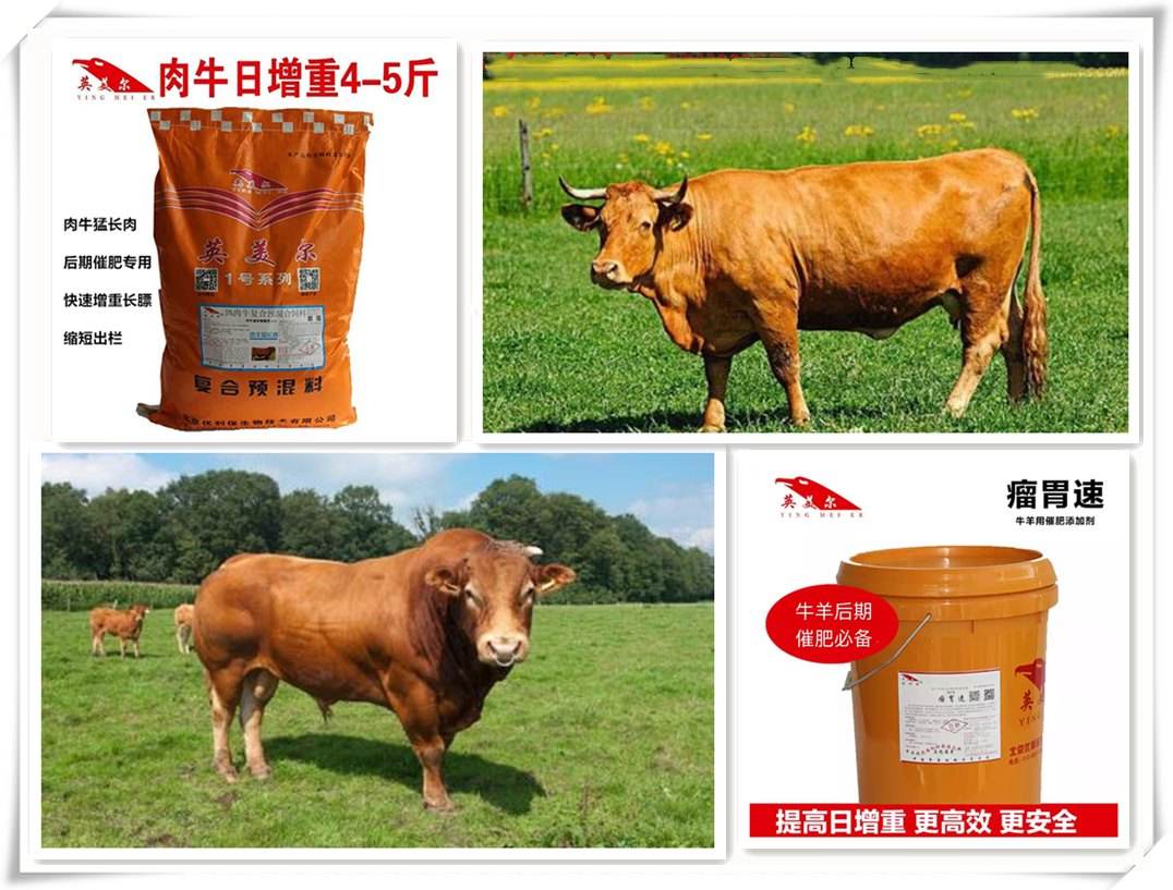 4、中國最好的牛羊飼料是哪家