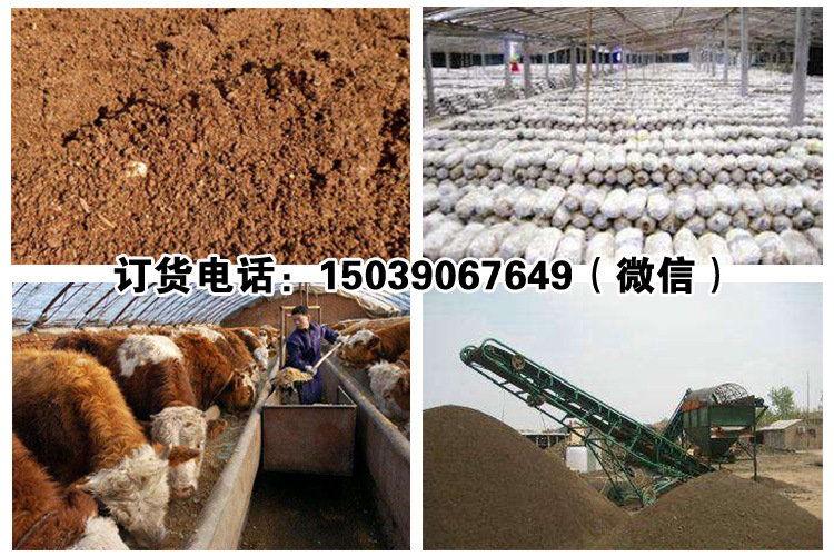 4.發(fā)酵牛飼料可以喂牛嗎?