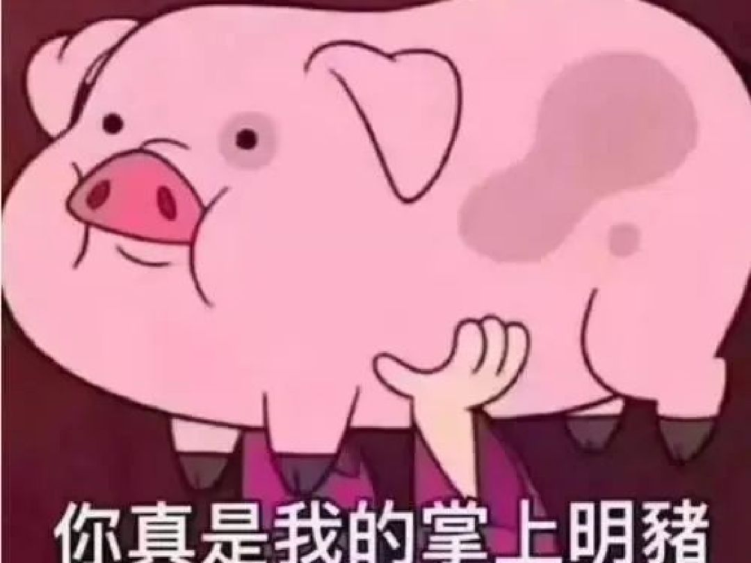 3、歲月是豬的飼料,我已經(jīng)吃夠了。下一句該說什么
