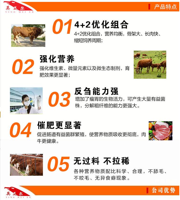 2、一頭奶牛一年應該準備多少飼料?喂食時如何混合飼料?