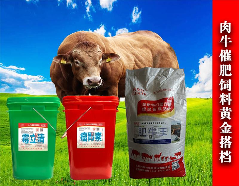 1、育肥牛如何長得更快?紅糖飼喂奶牛具有增肥作用