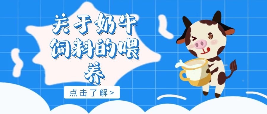 3、奶牛常用的飼料有哪些?