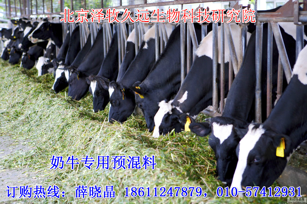 2、奶牛飼料廠有哪些？