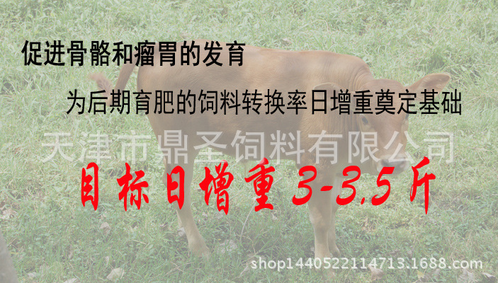 2、育肥牛每天需要多少飼料/肉牛每天吃多少飼料