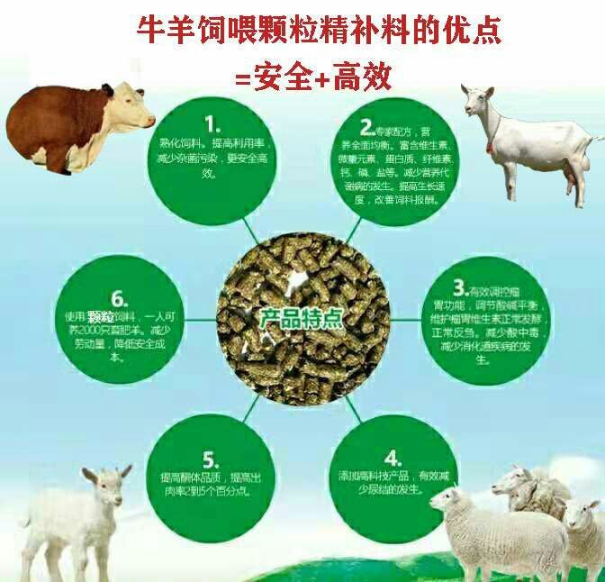 二、維生素、微量元素―――添加劑預(yù)混料